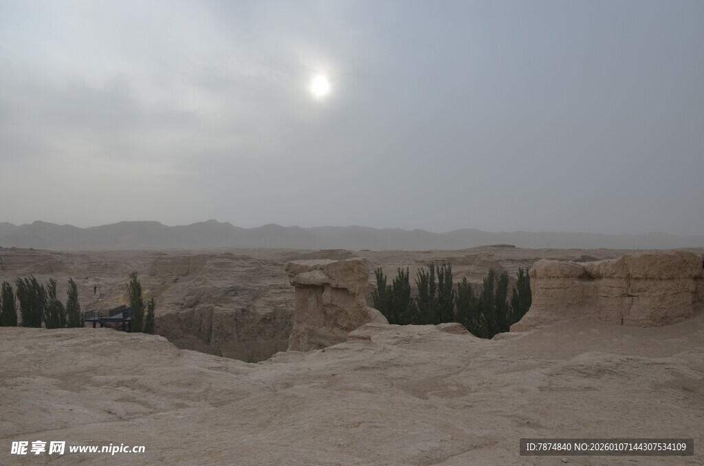 沙漠中的日光与稀疏植被