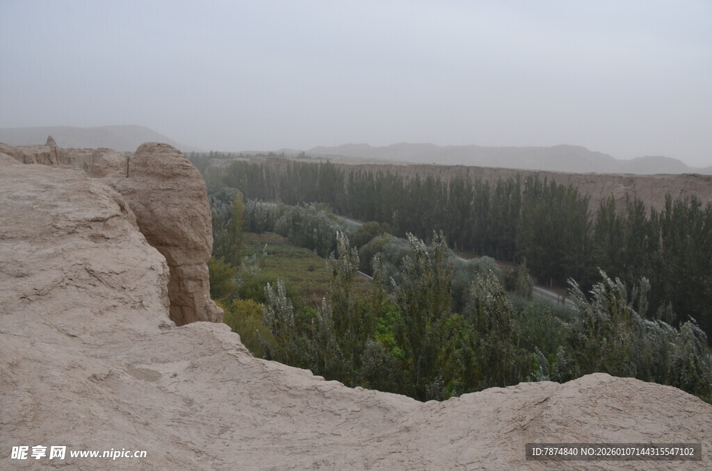 沙漠边缘的绿植景观