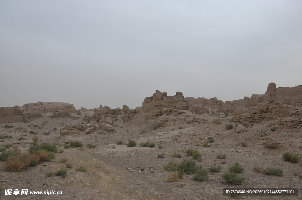 荒凉沙漠中的独特地貌