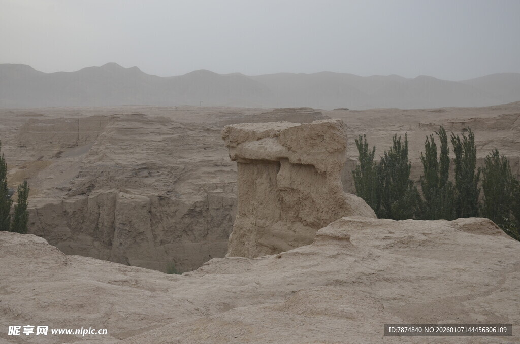 沙漠中的独特土丘景观