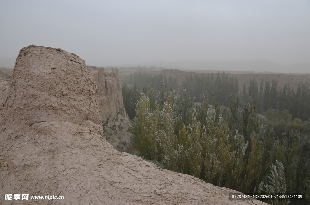 戈壁孤崖下的葱郁树林