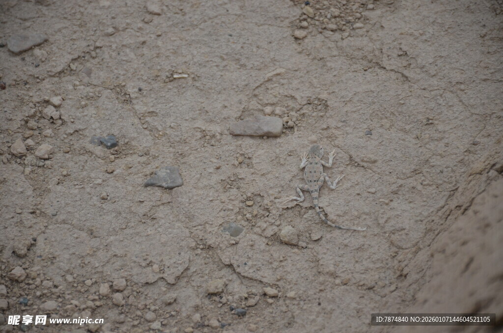 沙滩上的脚印与碎石
