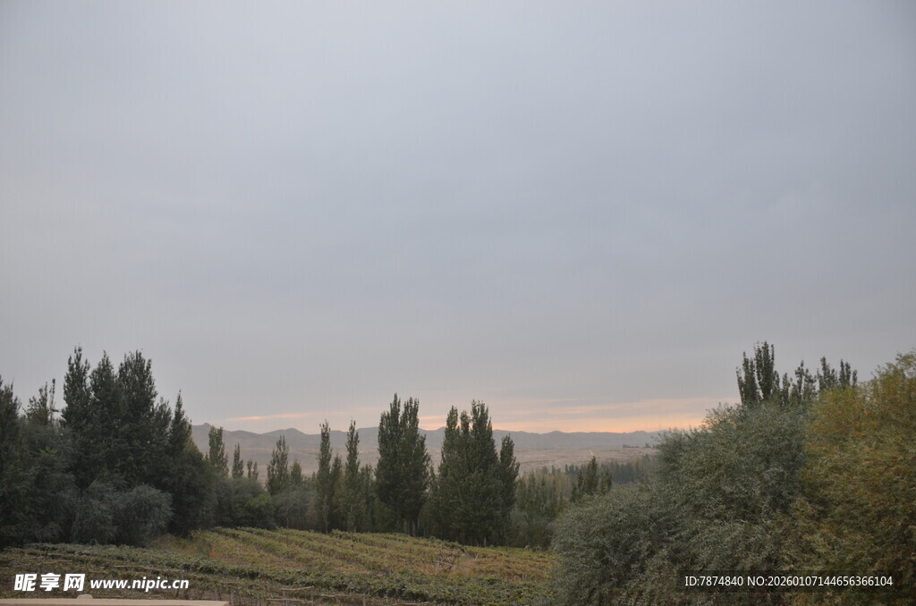 黄昏下的山林景色