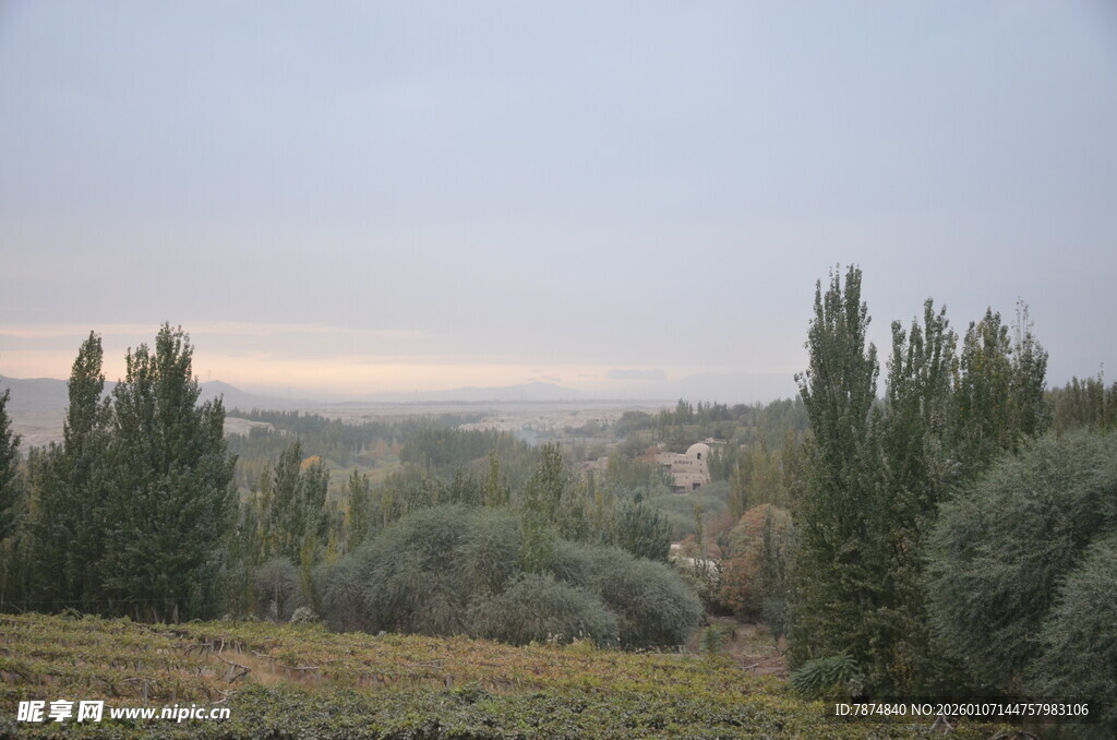 山间晨景 林木葱茏
