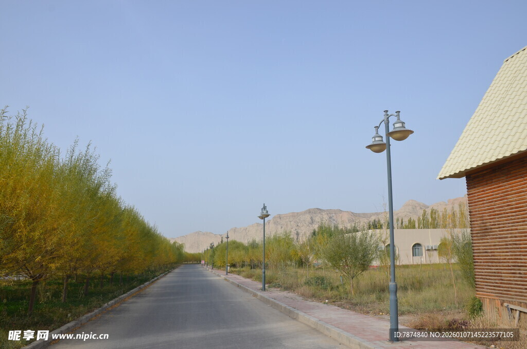 乡村道路旁的秋日景致