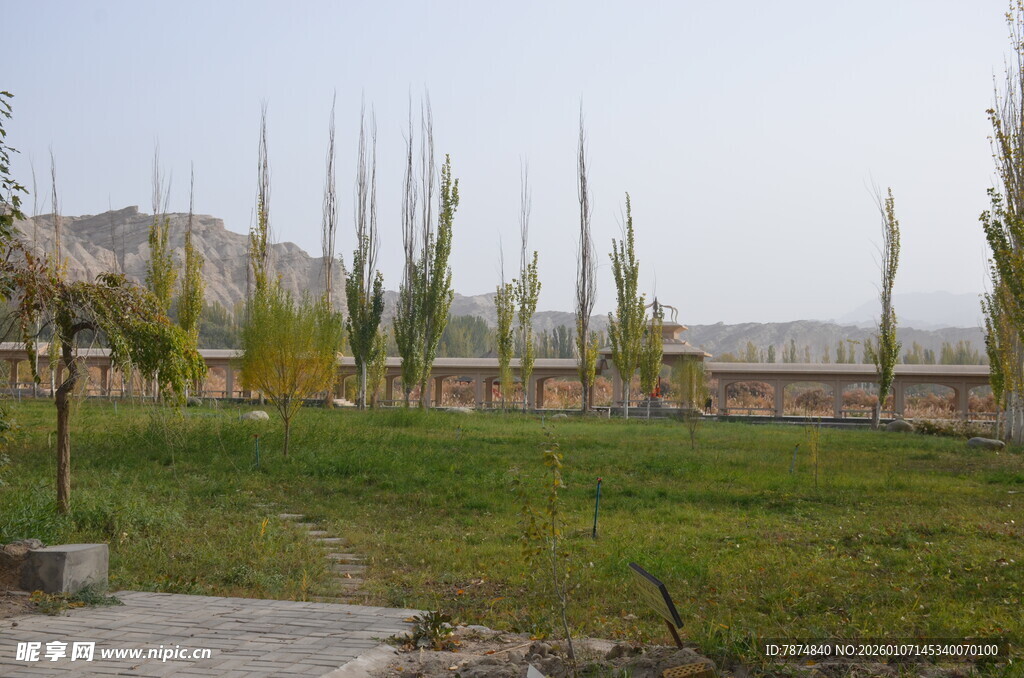 户外草地与树木景观