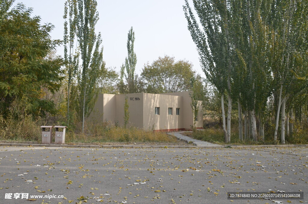 空旷场地旁的树木与建筑