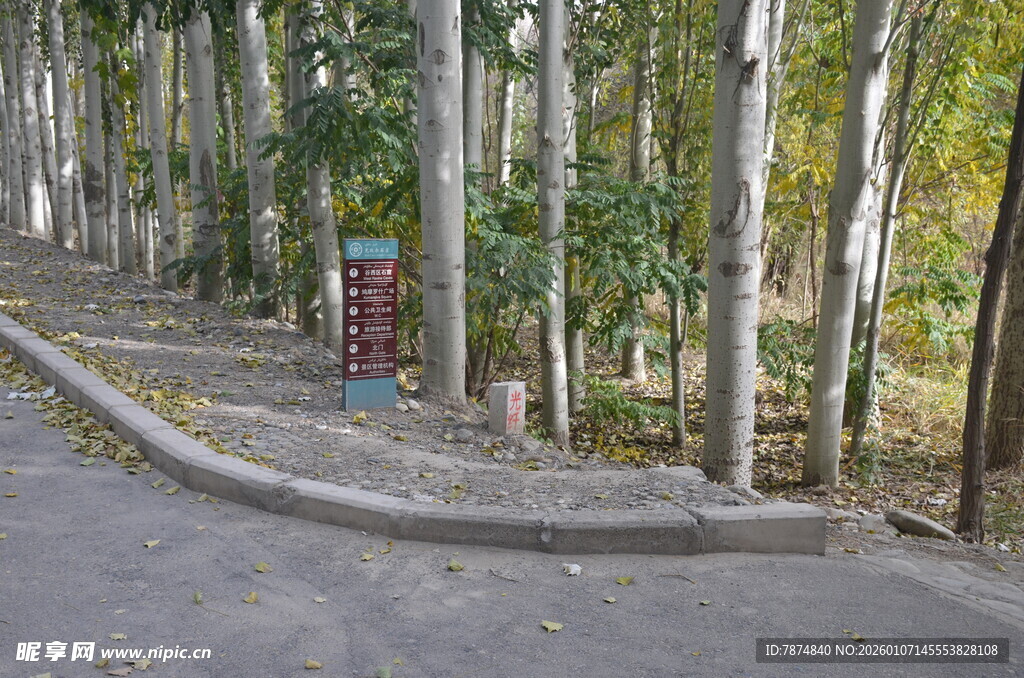 林间弯曲小径与设施