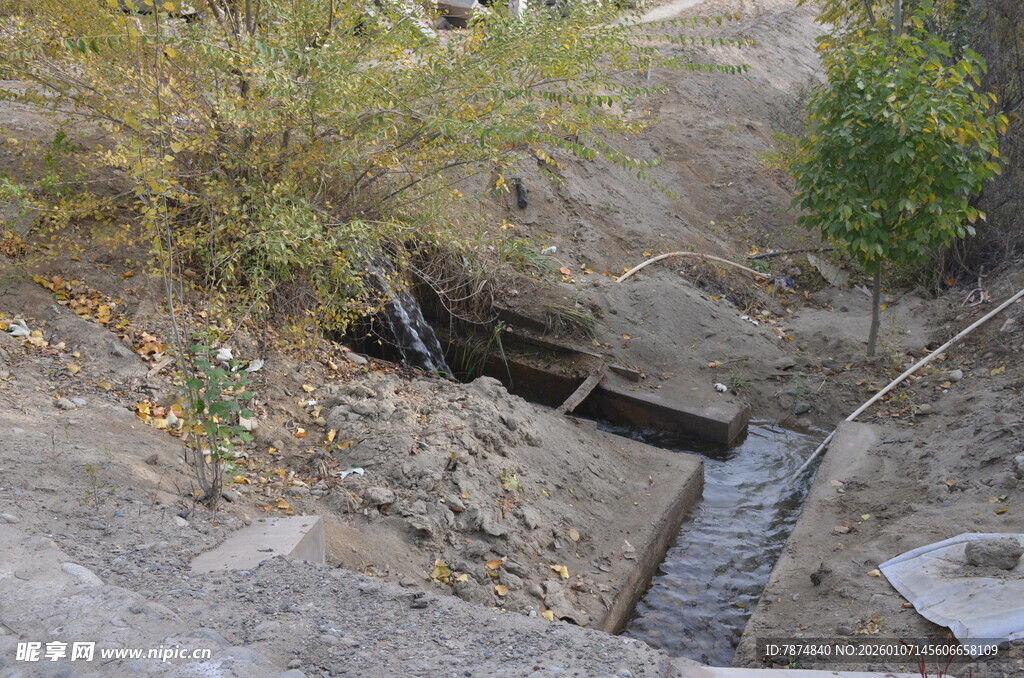 户外排水渠及周边绿植