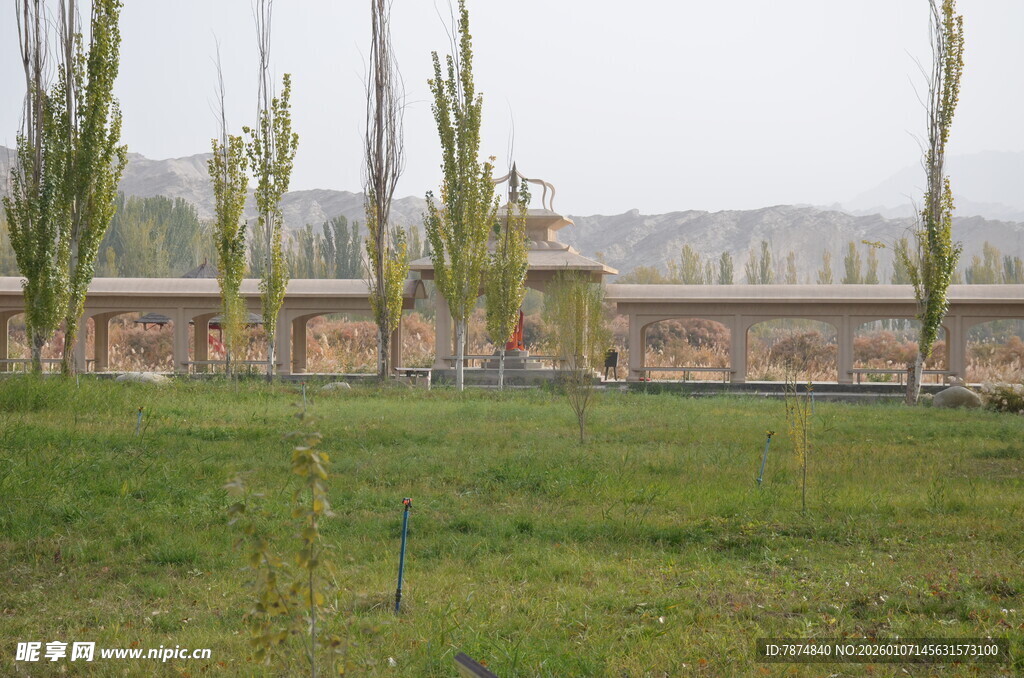 田野旁的树木与建筑