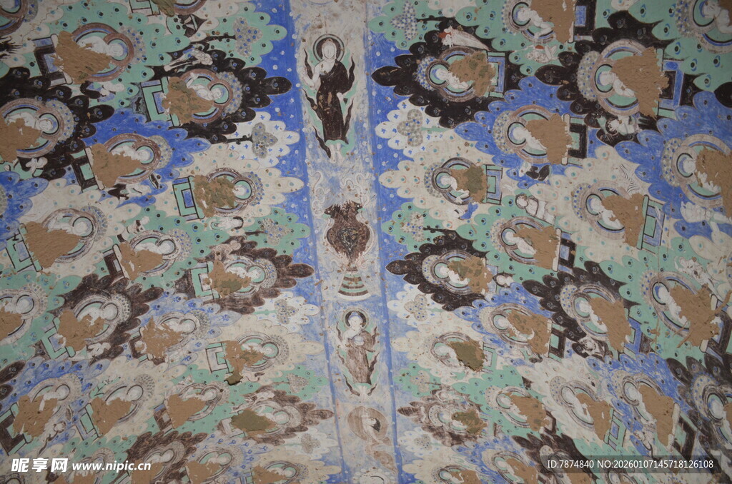 精美孔雀羽毛纹理图案