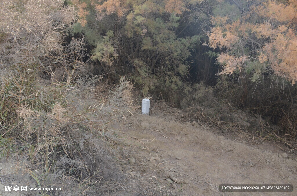 山间小径上的孤独身影