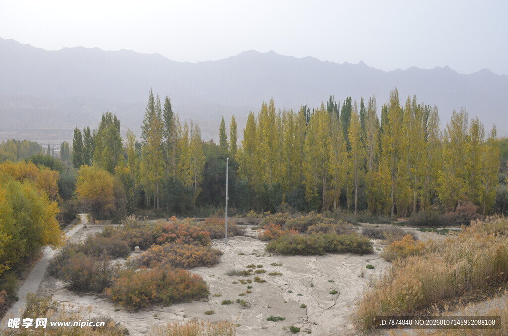 秋日山林河谷风光