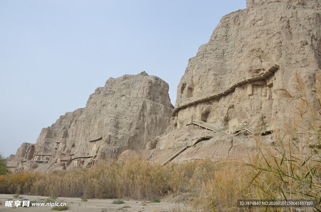 荒凉山崖边的枯黄植被