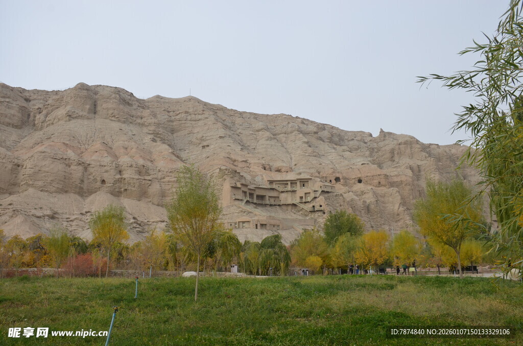 秋日山景下的多彩植被
