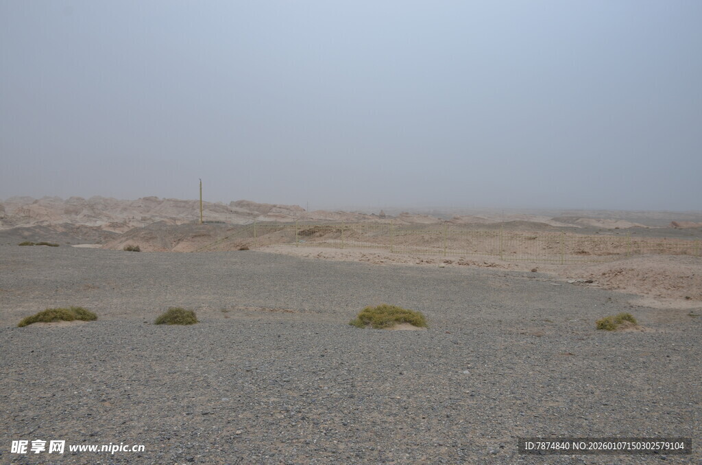 荒漠中的零星绿色植被