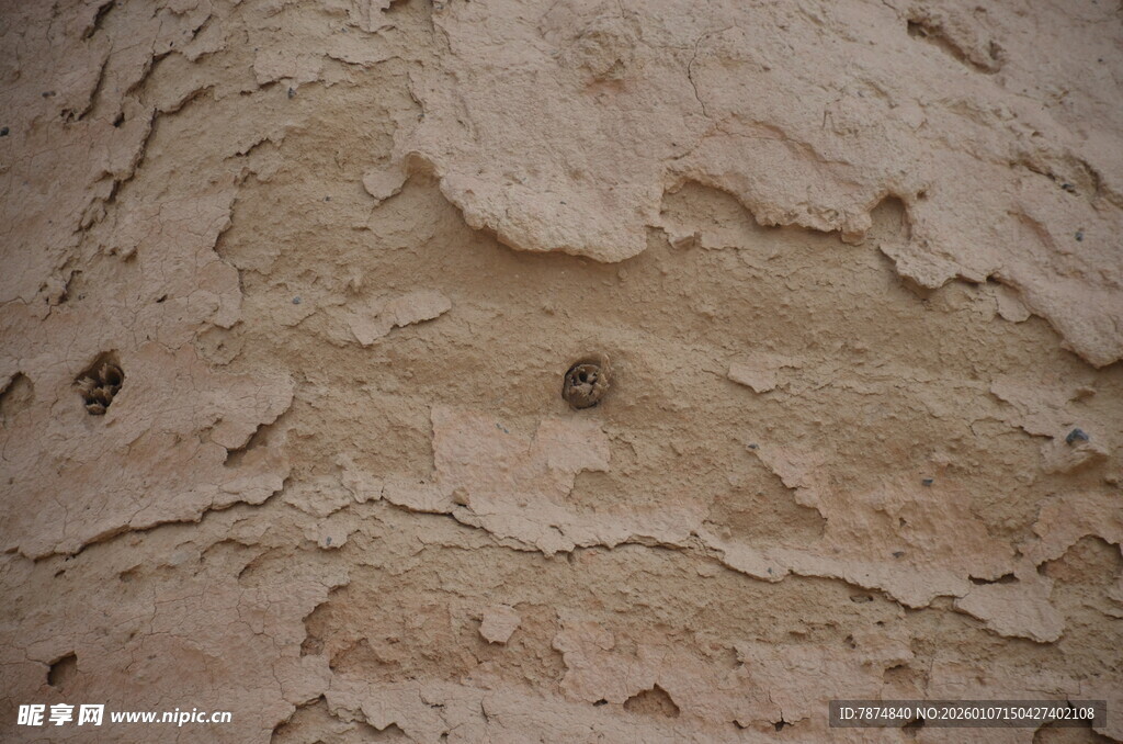 粗糙树皮纹理特写