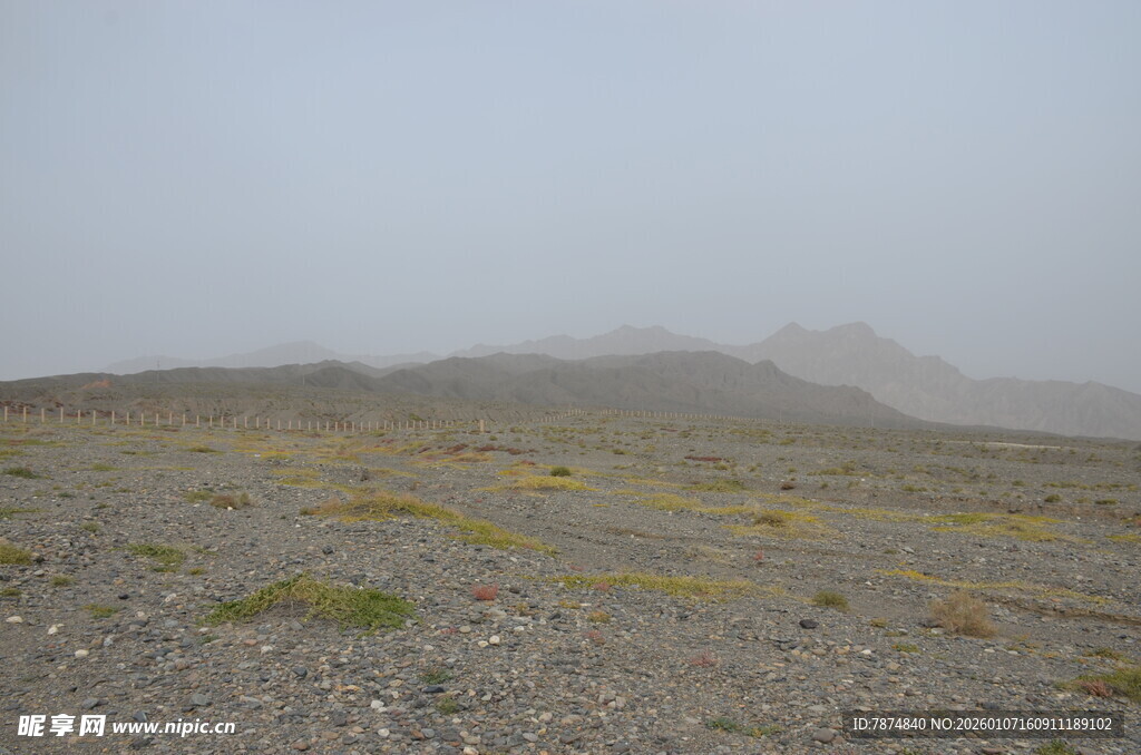荒凉戈壁中的稀疏植被
