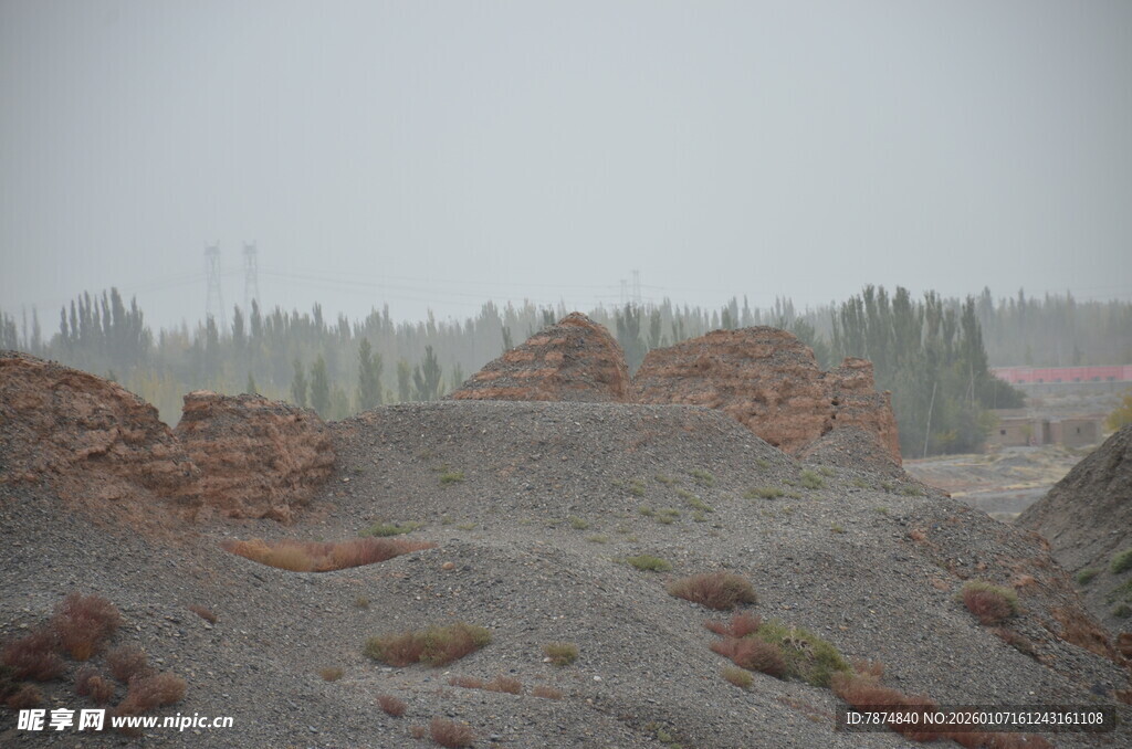 荒漠中的土堆与稀疏植被