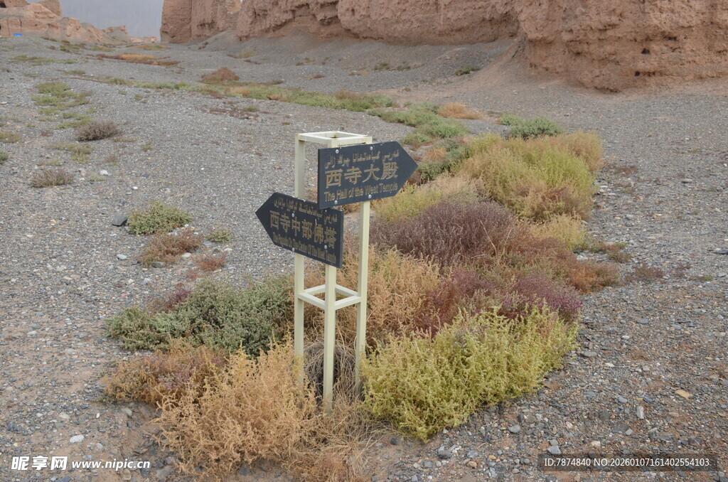 沙漠中的方向指示路标