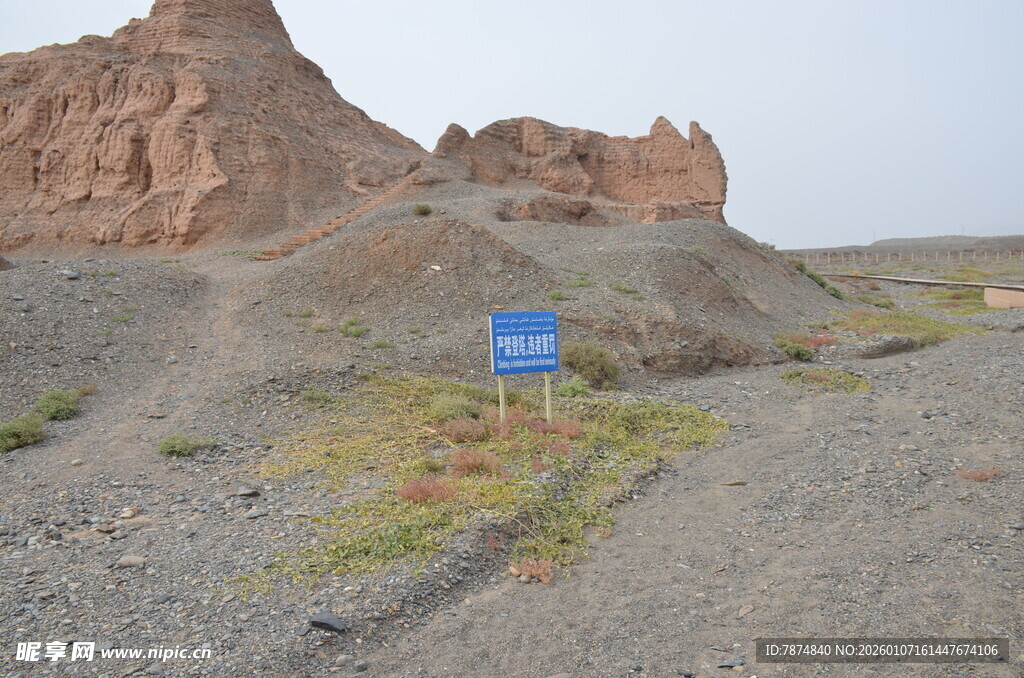 沙漠中的蓝色指示牌景观