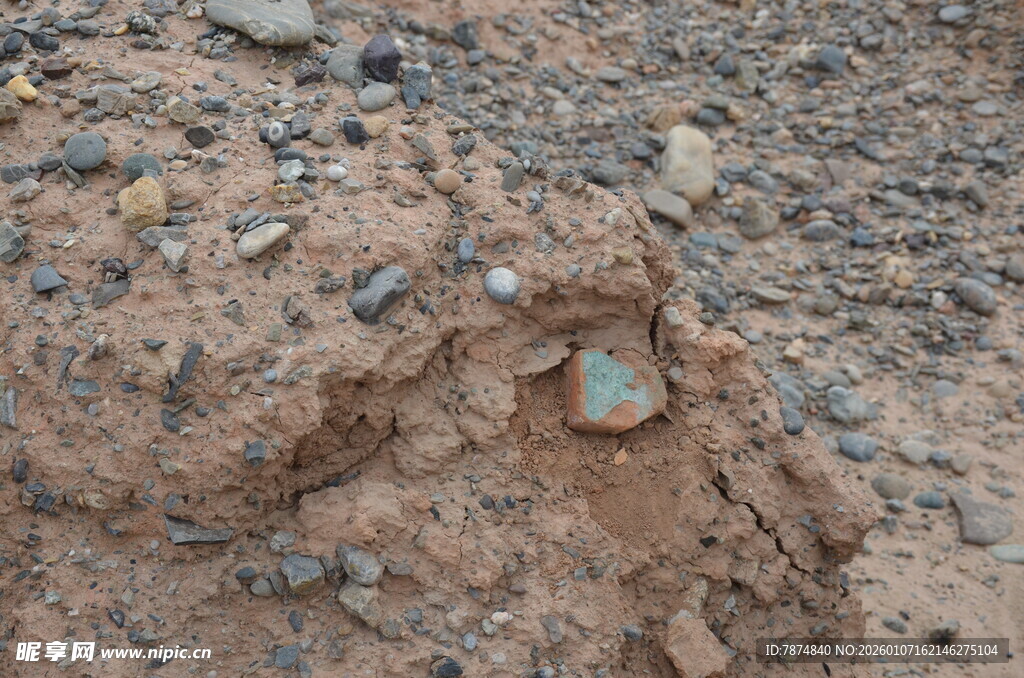 蚂蚁在土中忙碌觅食