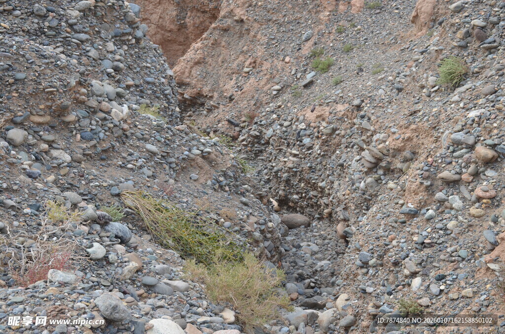 岩石沟壑中的零星植被
