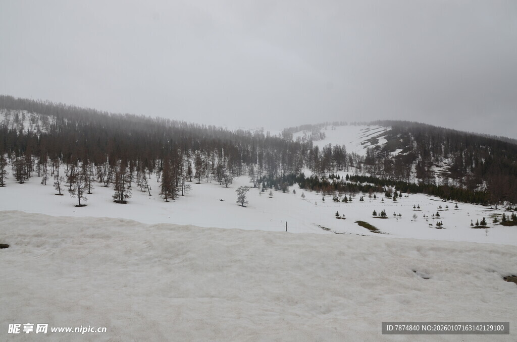 雪覆山林的冬日景致