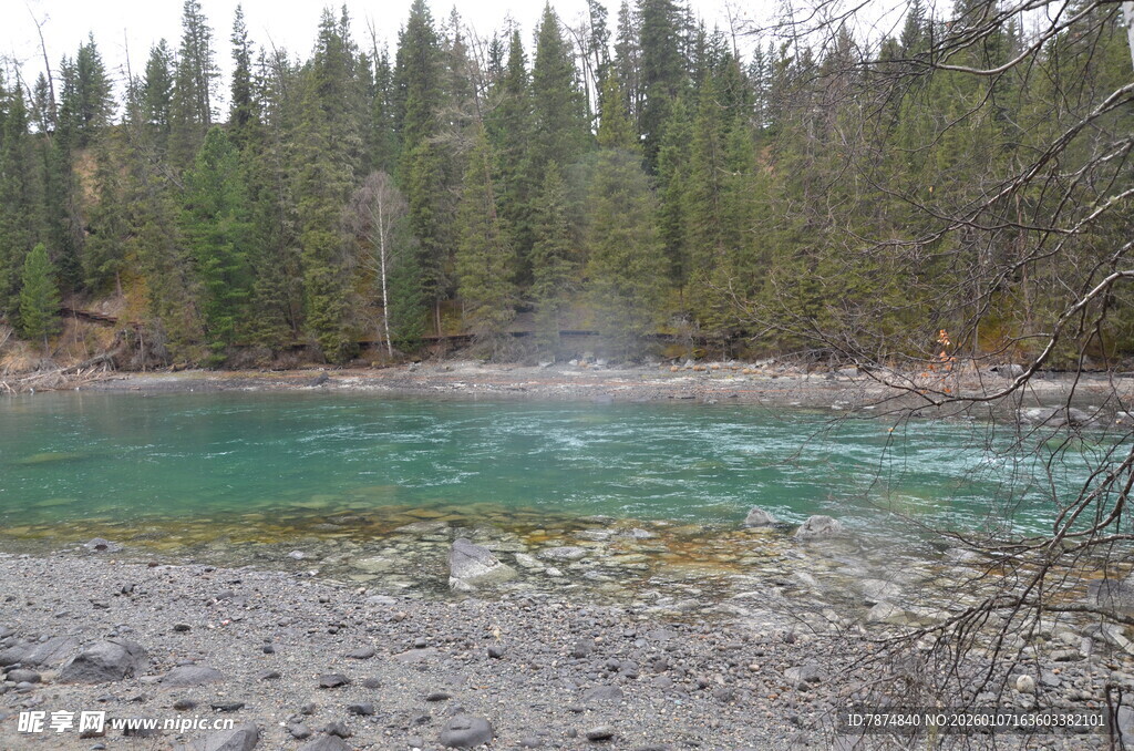 森林环绕的清澈河流
