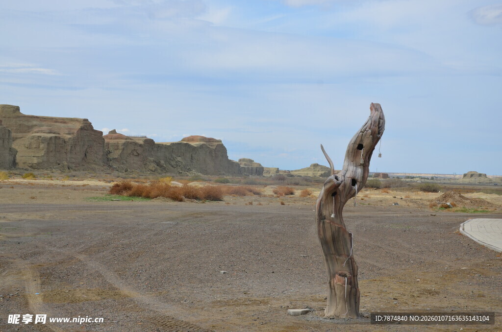 荒漠孤树 尽显苍凉之美