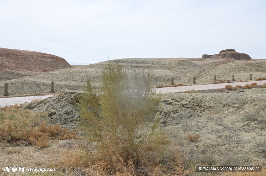 荒漠中的蜿蜒道路