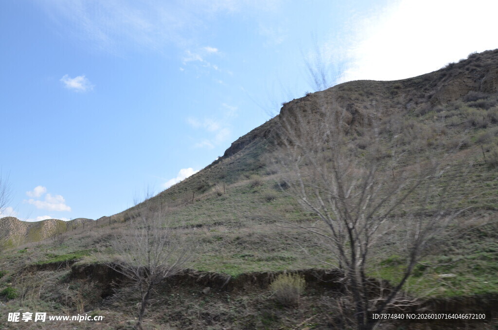 山景风光 枯树点缀其间