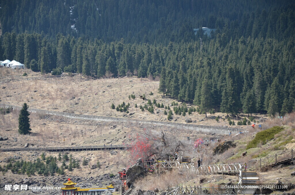 山间开阔地与茂密树林景观