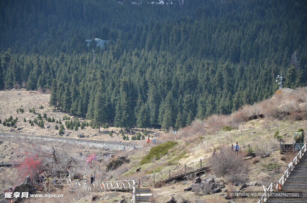 山间美景 林木与步道相映