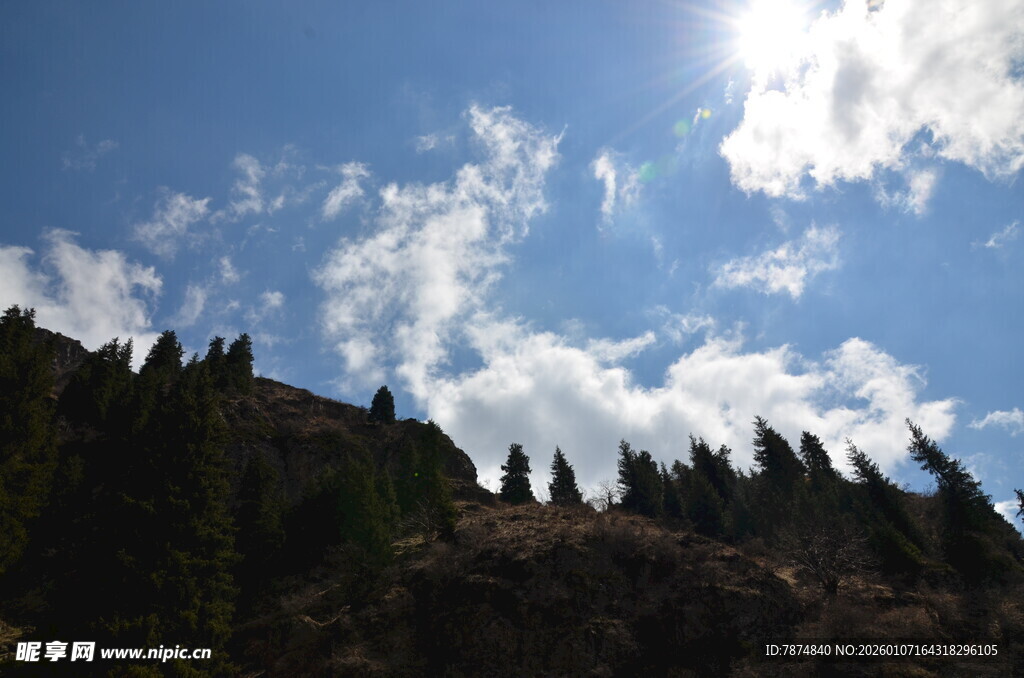 蓝天绿树间的明媚风光