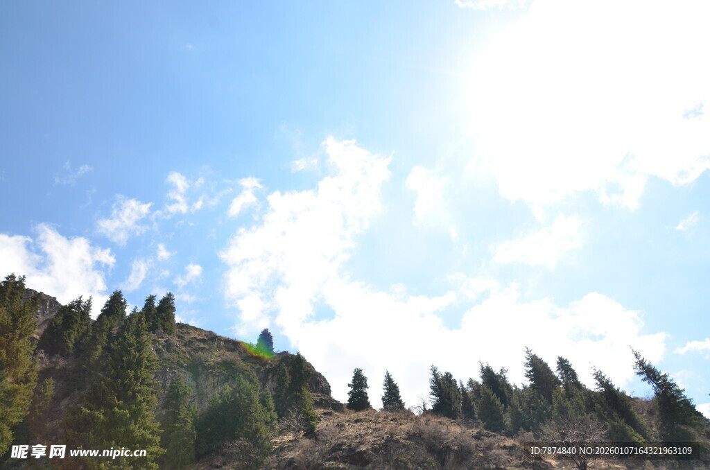 阳光照耀下的山林美景