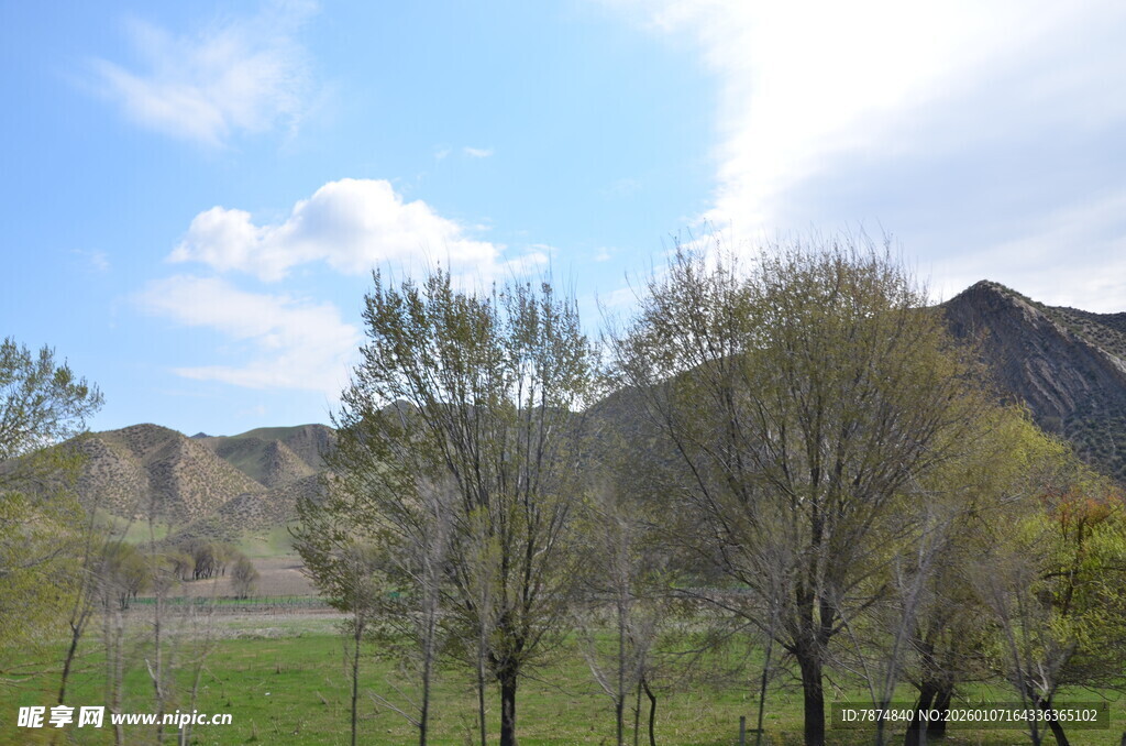 山野绿树蓝天风景图