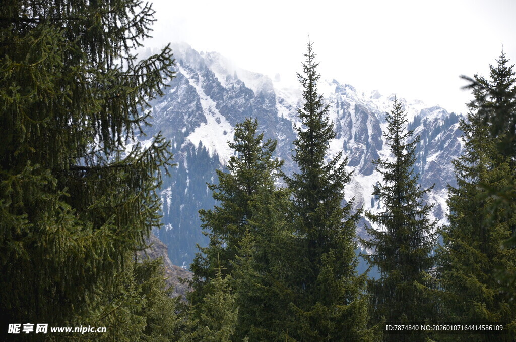 山林间的巍峨雪山