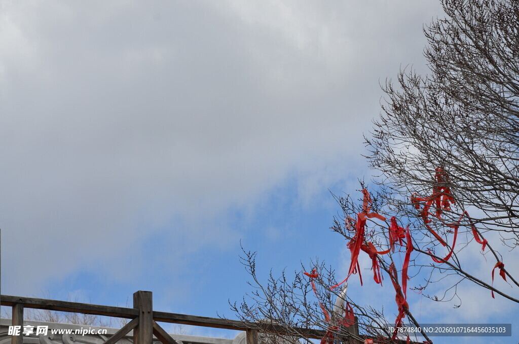 木栏旁飘着红丝带的树