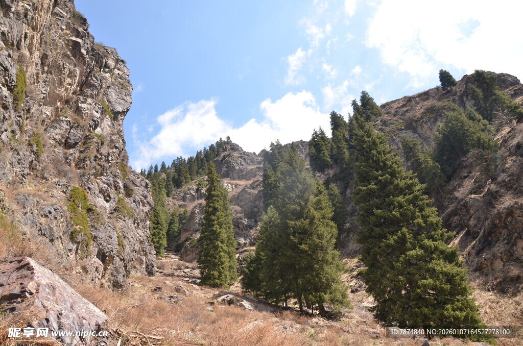 山间景色 峭壁与树木