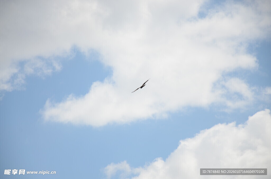 蓝天中翱翔的飞机