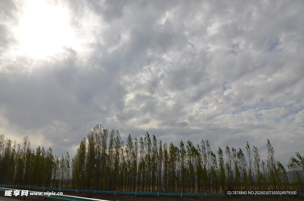 公路旁的树林与多云天空