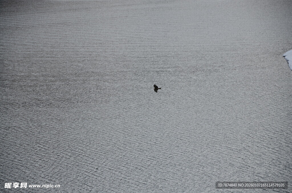 雪地中孤独的行者