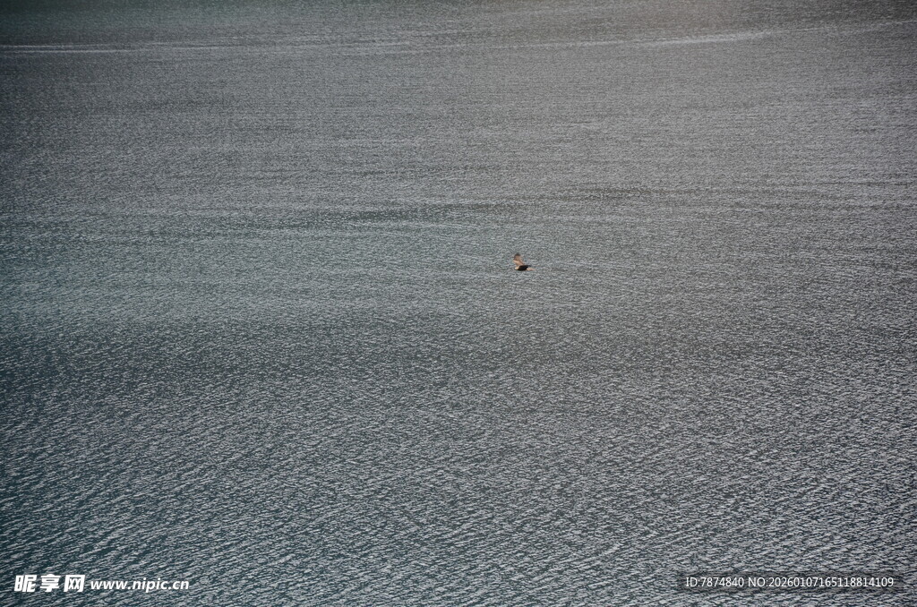 灰色纹理地毯特写