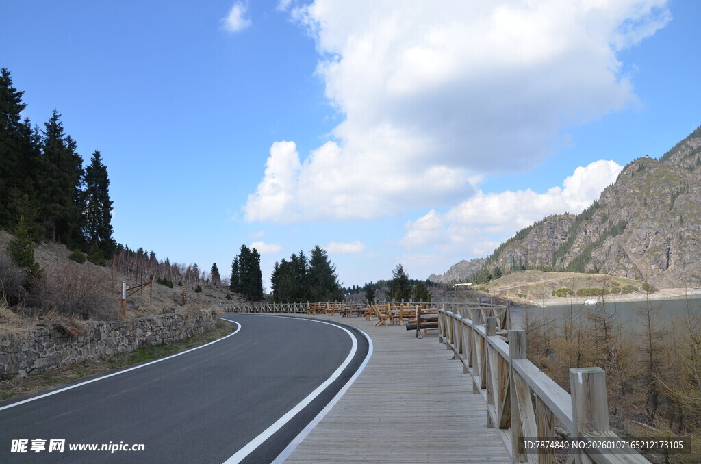 蜿蜒公路旁的山林美景