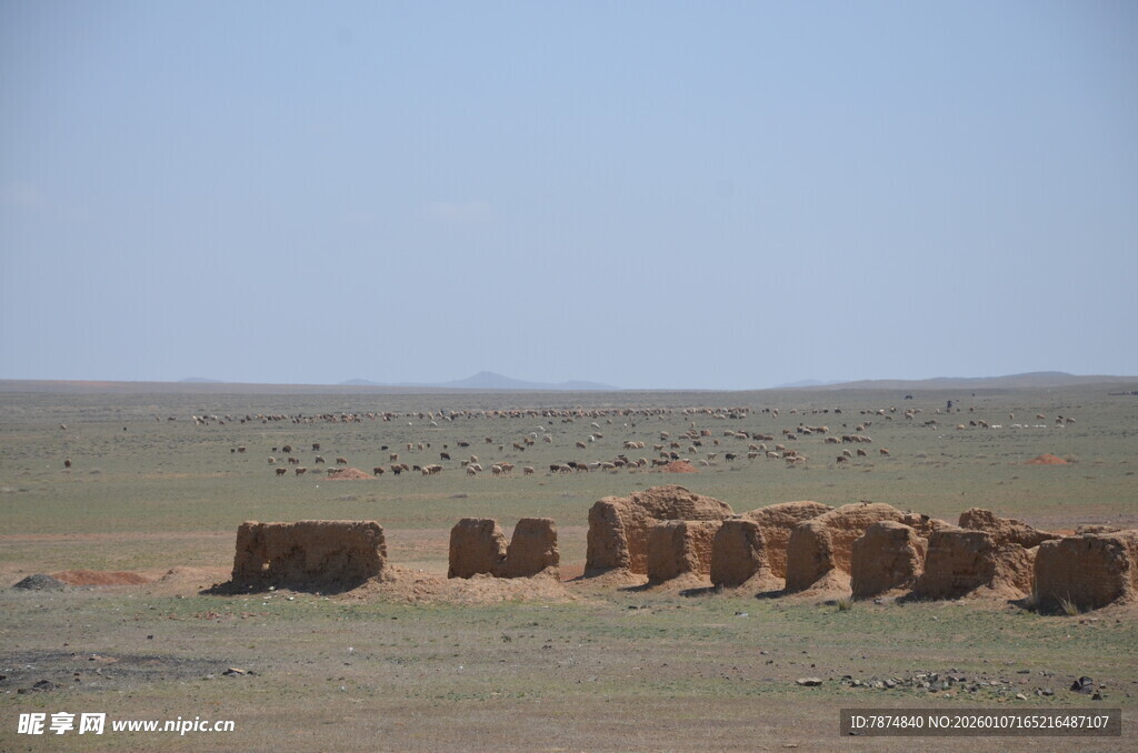 沙漠中的整齐草垛