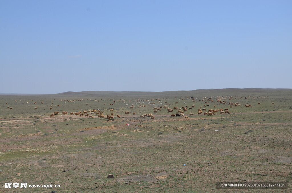广袤草原上的稀疏建筑