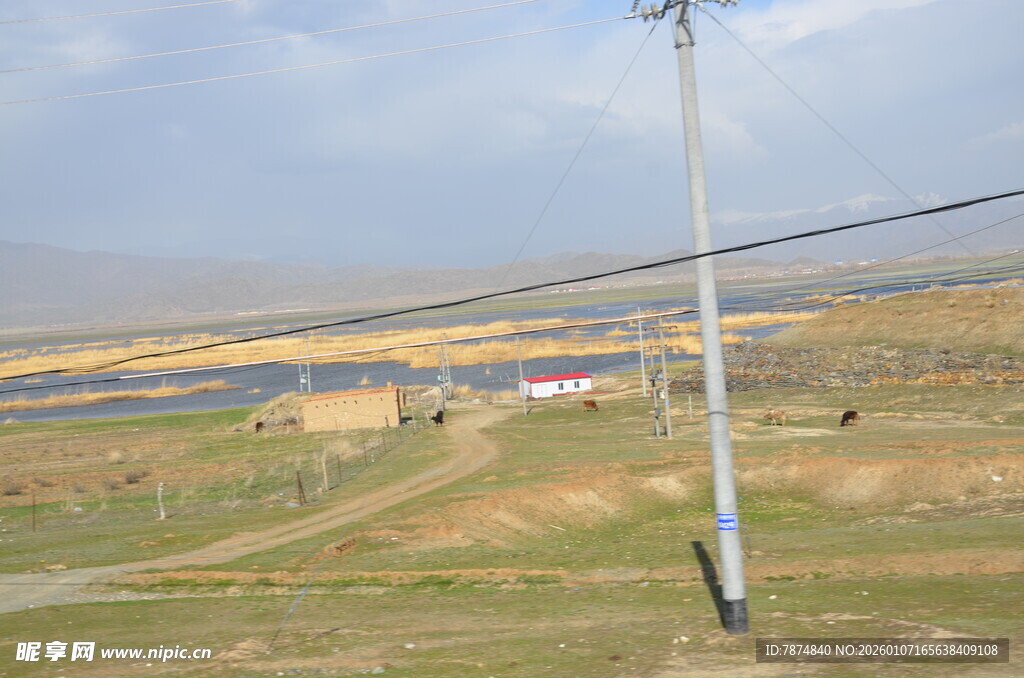 田野中的电线杆与开阔风景