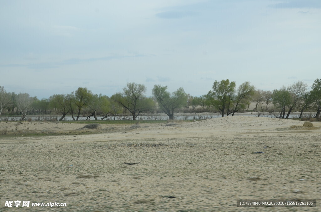空旷田野与远处树木景观