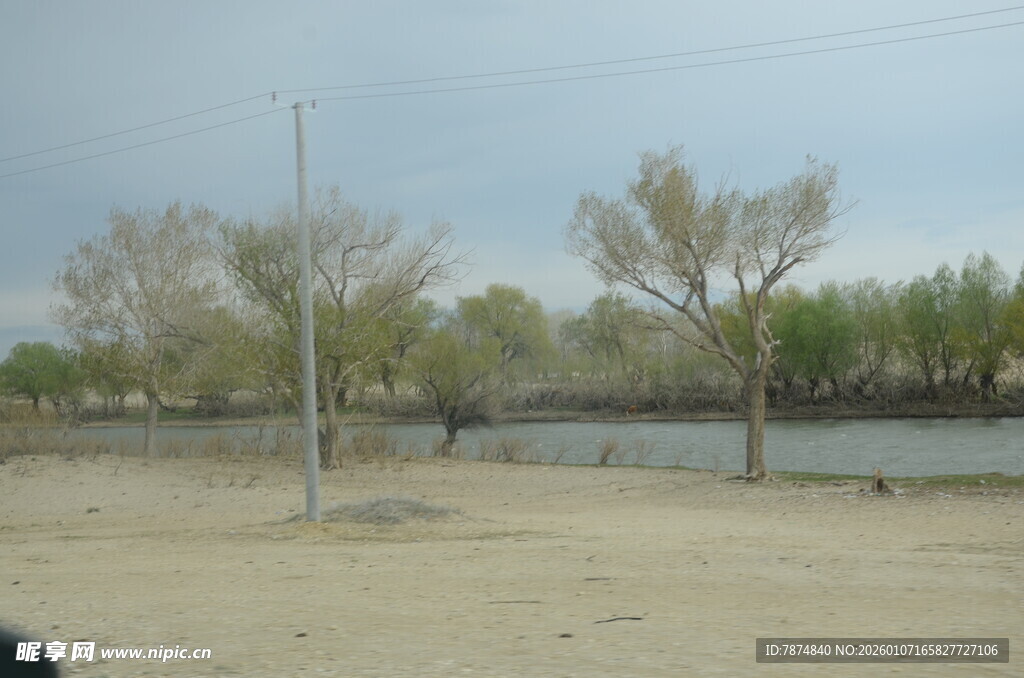 河边空旷沙地与树木景观